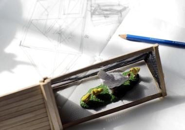 The Story of Chickens