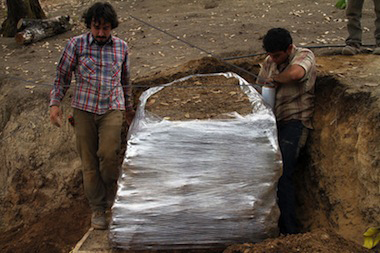 Camilo_Ontiveros_El_Pedon