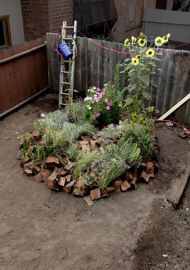 Calder-Yates-Untitled-Installation-View