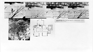 DIA_Dennis_Oppenheim_Gallery_Transplant