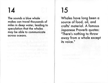 Elyse Mallouk Script for Mass Ventriloquism