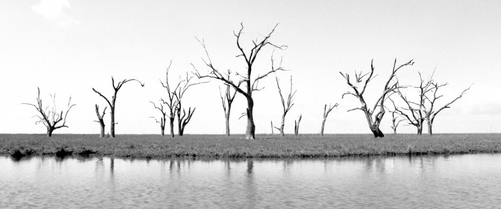 Imani Jacqueline Brown & Kenneth Pietrobono (Part 1 of 3)