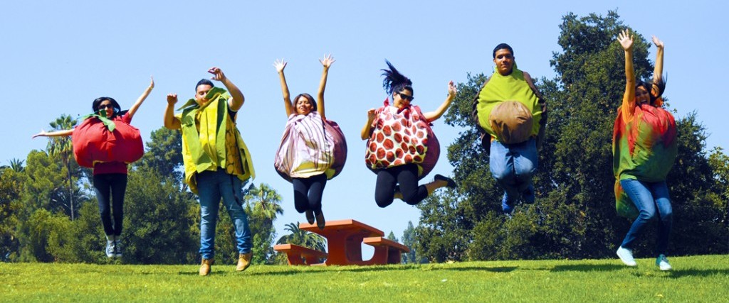 How Do You Expand the Expectations for Public Practice?