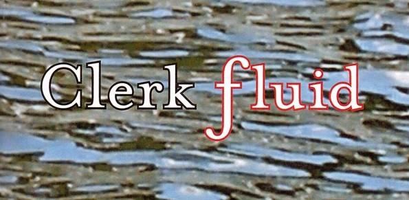 Excerpts from Clerk Fluid