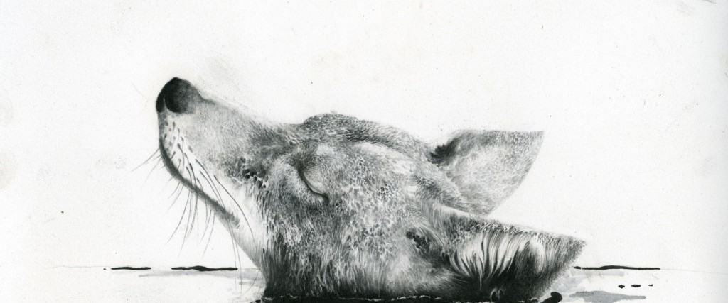 The Cult of the Nine Muses: Art, Science, and Wonder