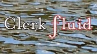 Excerpts from Clerk Fluid