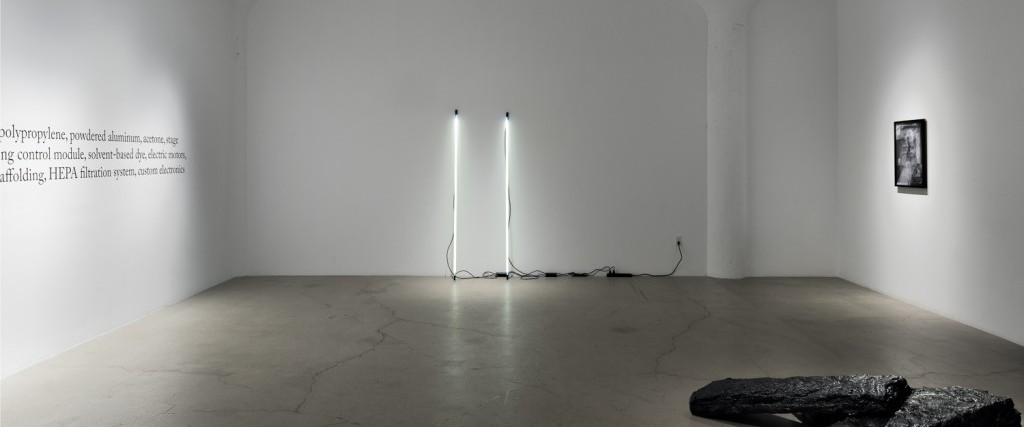 Anthony Discenza Presents A Novel: An Exhibition by Anthony Discenza