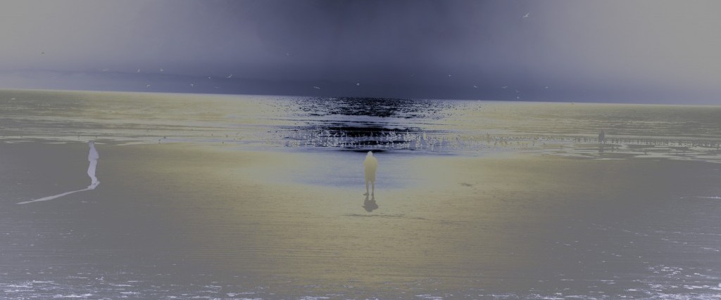 Richard Misrach: Being(s) 1975–2015