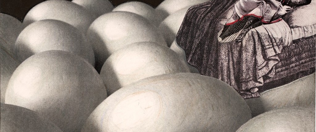 Stacey Steers: Night Hunter