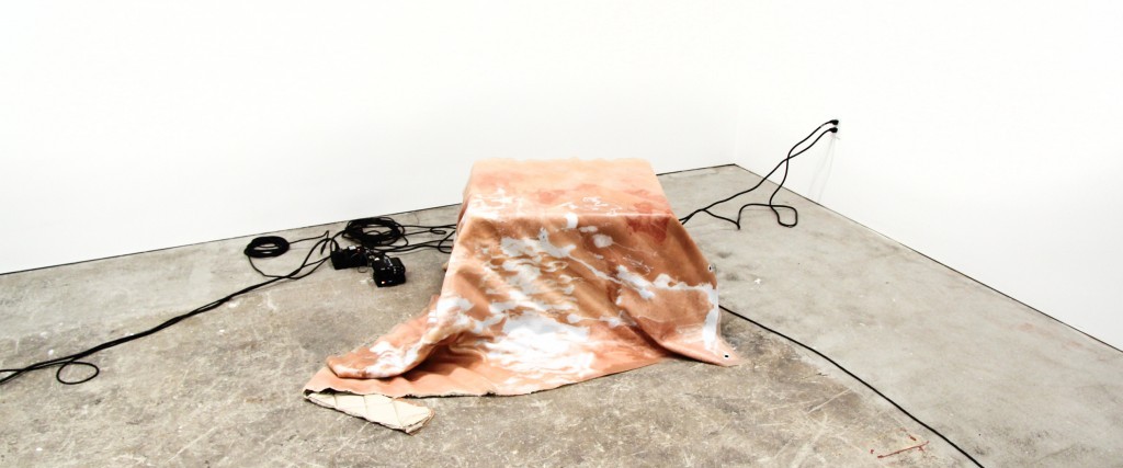 Spectra: Jacqueline Kiyomi Gordon and Margo Wolowiec